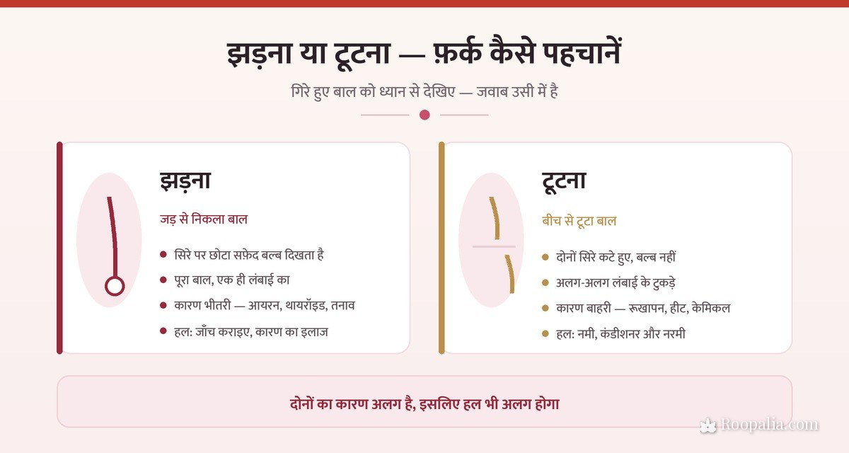 बाल झड़ना और बाल टूटना में फ़र्क — जड़ से निकले बाल पर सफ़ेद बल्ब और बीच से टूटे बाल की पहचान